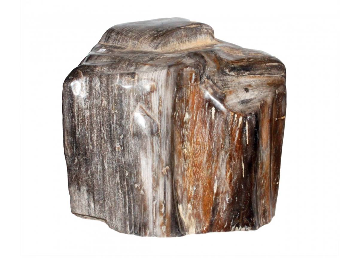 Versteiertes Holz 2